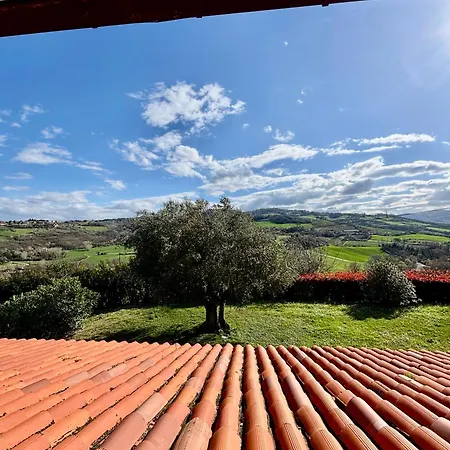 Panoramica Con Piscina *