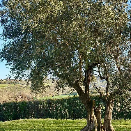 Villa Panoramica Con Piscina *